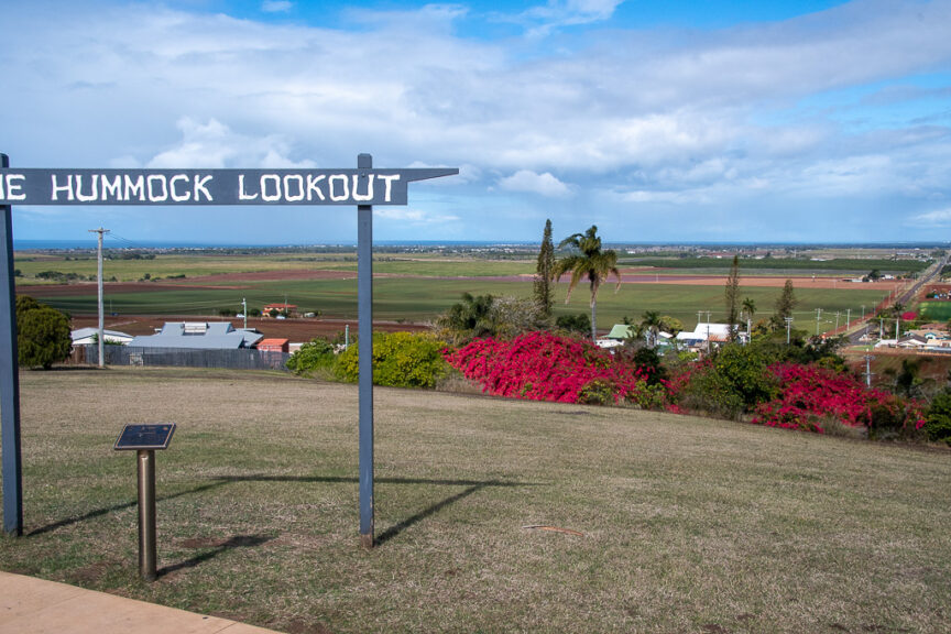 The Hummock Lookout